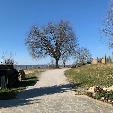 Congusto Appartamento