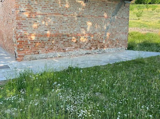 Congusto * 凯拉斯科